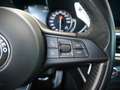 Alfa Romeo Stelvio Quadrifoglio KAMERA KEYLESS CARBON APPLE Schwarz - thumbnail 20