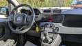 Fiat Panda HYBRID CITYLIFE 1.0cc 70cv Grigio - thumbnail 9