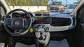 Fiat Panda HYBRID CITYLIFE 1.0cc 70cv Grigio - thumbnail 8