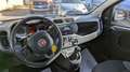 Fiat Panda HYBRID CITYLIFE 1.0cc 70cv Grigio - thumbnail 6