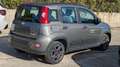 Fiat Panda HYBRID CITYLIFE 1.0cc 70cv Grigio - thumbnail 4