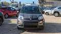 Fiat Panda HYBRID CITYLIFE 1.0cc 70cv Grigio - thumbnail 14