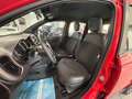 Fiat Panda Panda 1.0 FireFly S&S Hybrid Sport Rot - thumbnail 9