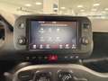 Fiat Panda Panda 1.0 FireFly S&S Hybrid Sport Rot - thumbnail 16