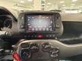 Fiat Panda Panda 1.0 FireFly S&S Hybrid Sport Rot - thumbnail 17