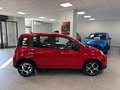 Fiat Panda Panda 1.0 FireFly S&S Hybrid Sport Rot - thumbnail 3