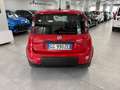 Fiat Panda Panda 1.0 FireFly S&S Hybrid Sport Rot - thumbnail 5