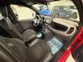 Fiat Panda Panda 1.0 FireFly S&S Hybrid Sport Rot - thumbnail 10