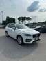 Volvo XC90 XC90 D5 AWD Geartronic Business Plus Bianco - thumbnail 7