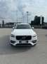 Volvo XC90 XC90 D5 AWD Geartronic Business Plus Bianco - thumbnail 8