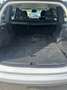 Volvo XC90 XC90 D5 AWD Geartronic Business Plus Bianco - thumbnail 15