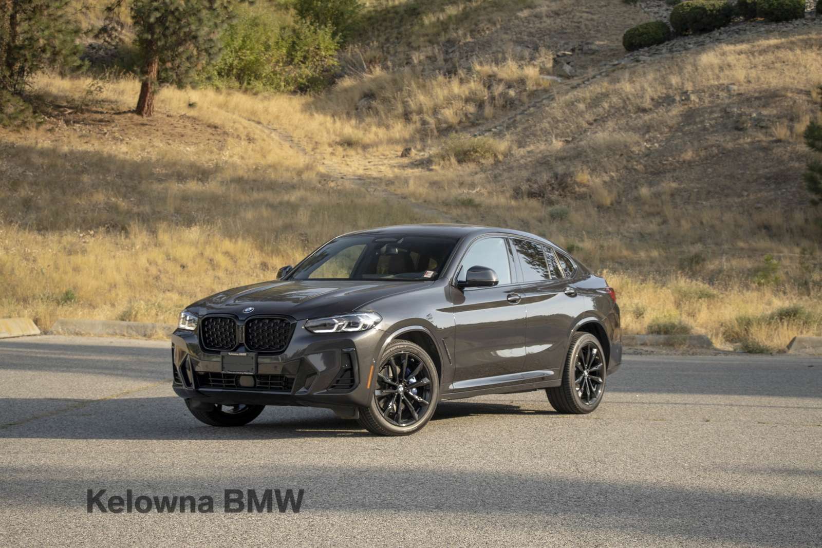 2024 BMW X4 xDrive30i