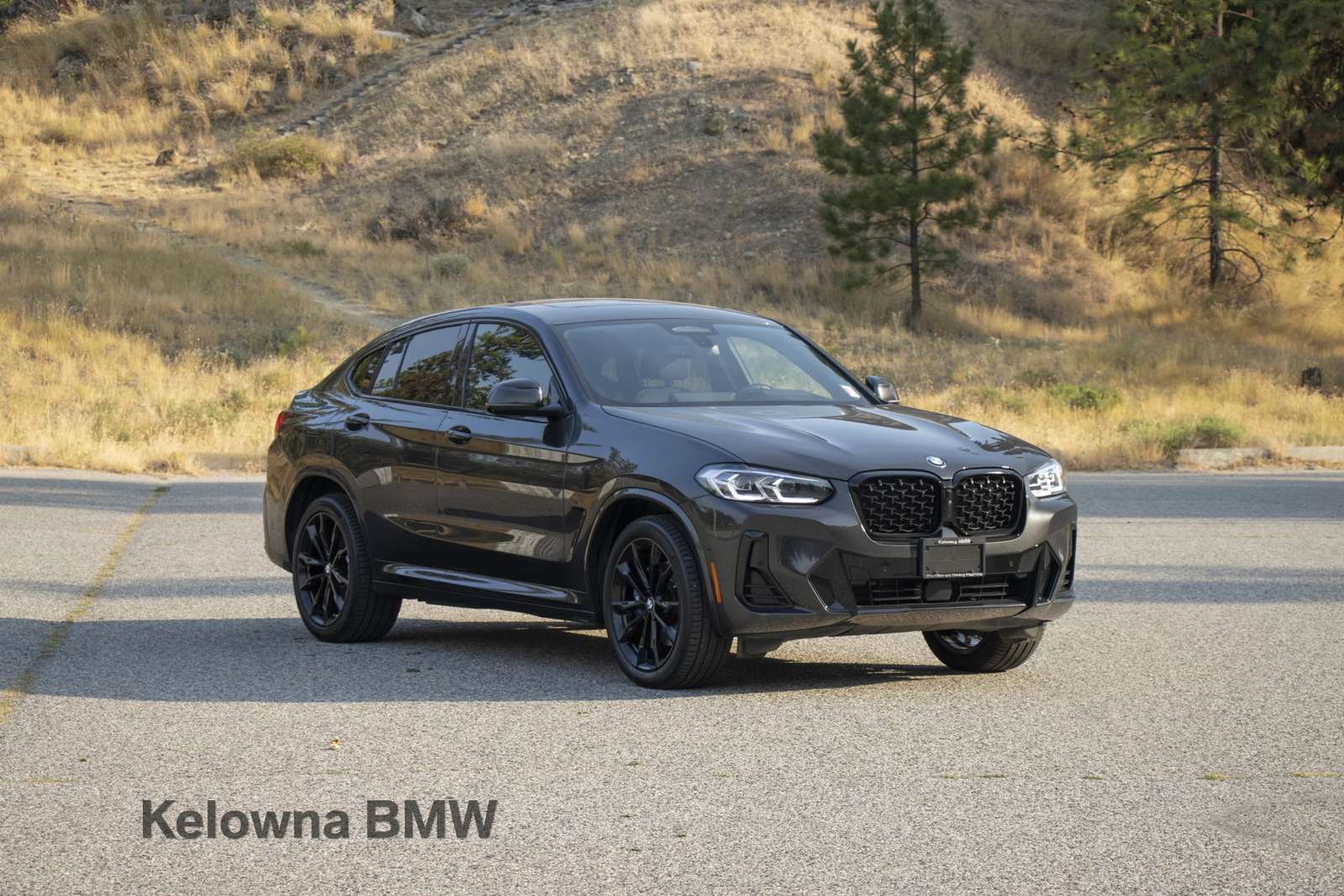 2024 BMW X4 xDrive30i — снимка 1