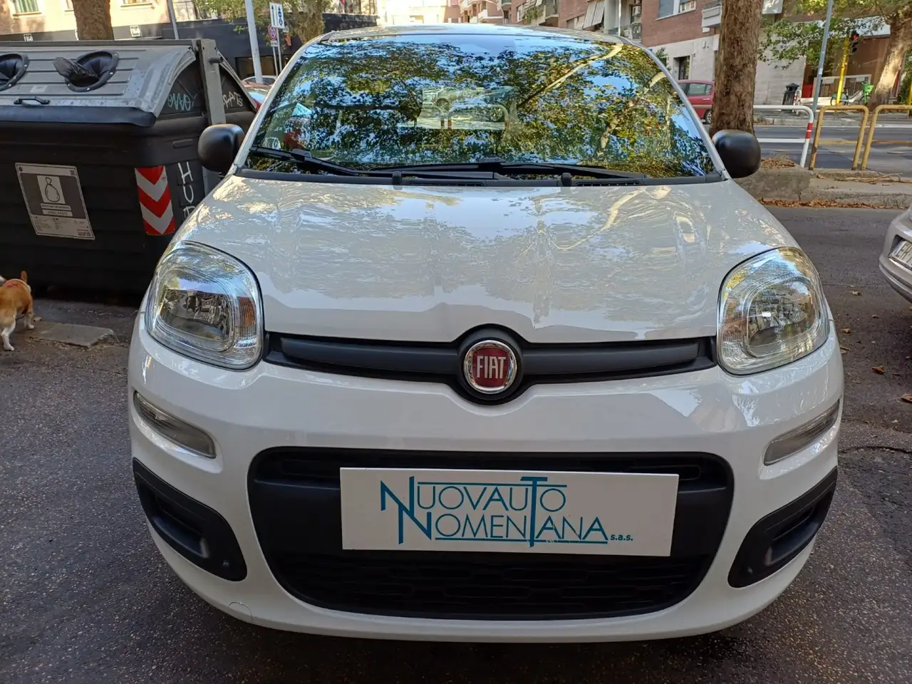 Fiat Panda Pandina 1.0 FireFly S&S Hybrid Icon Vettura Nuova
