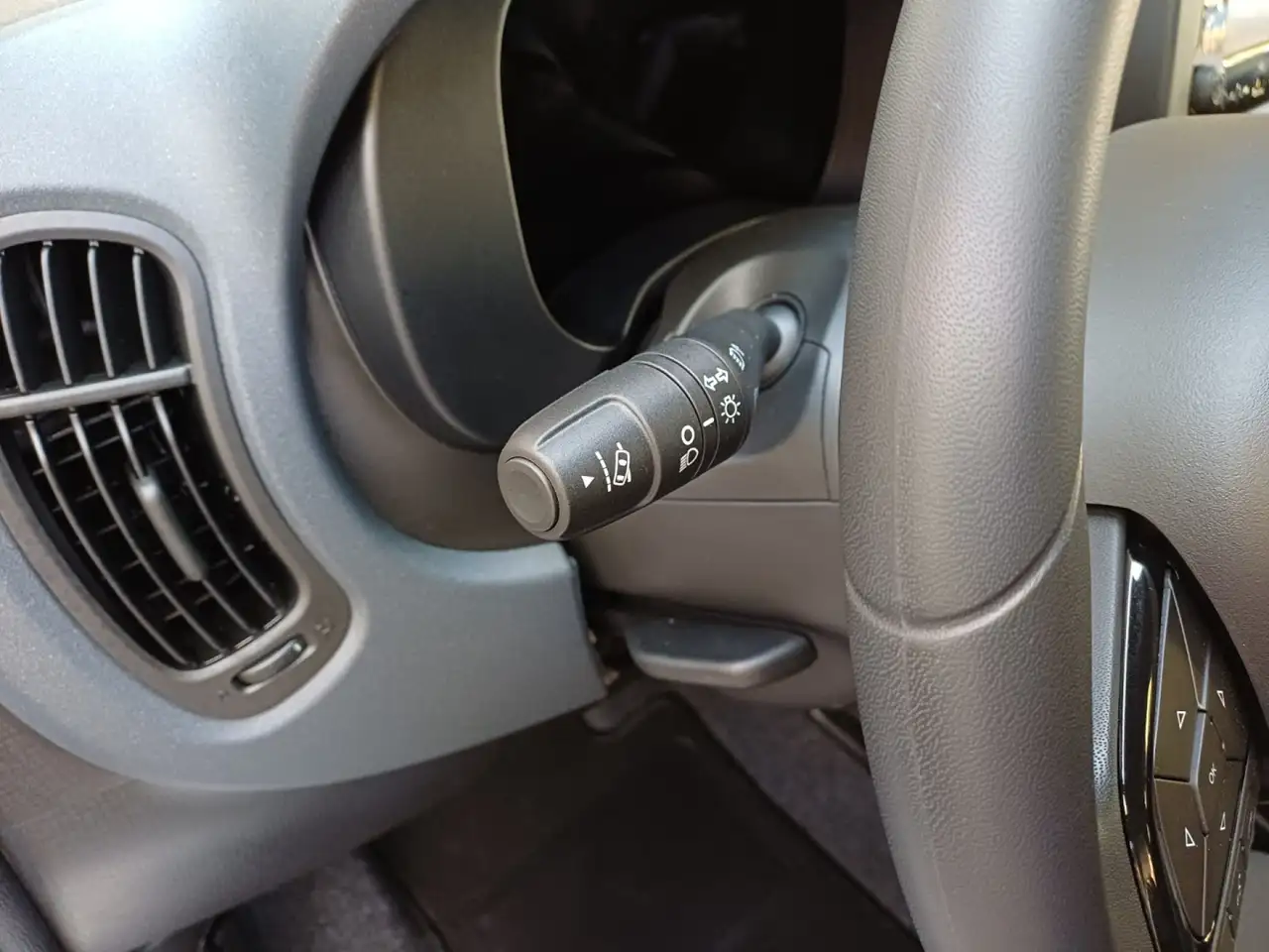 Fiat Panda Pandina 1.0 FireFly S&S Hybrid Icon Vettura Nuova, миниатюра 13