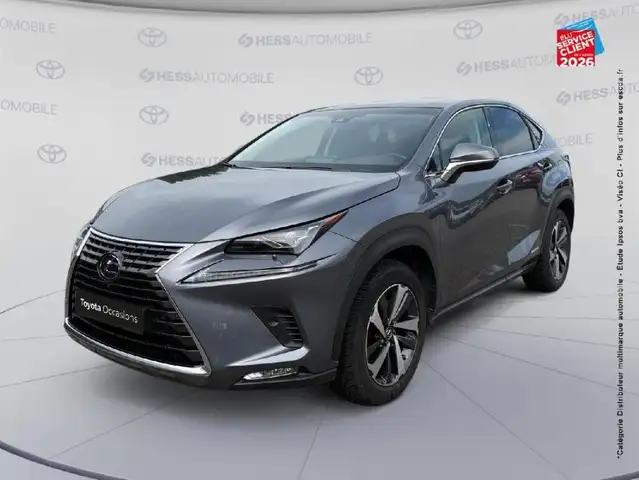 Lexus NX 300h 300h 4WD Executive