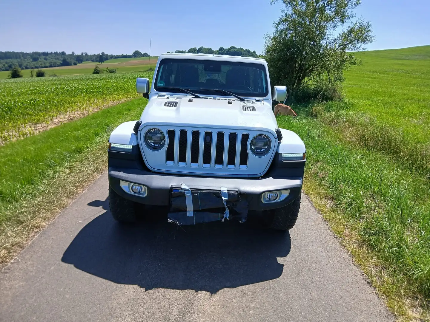 Jeep Wrangler Wrangler Unlimited 2.2 CRDi Hardtop AWD Automatik Weiß - 1