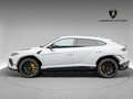 Lamborghini Urus S Weiß - thumbnail 3