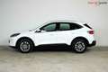 Ford Kuga Titanium Plug-In Hybrid | WENIG KM |3xHeizung Weiß - thumbnail 8