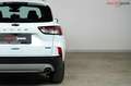 Ford Kuga Titanium Plug-In Hybrid | WENIG KM |3xHeizung Weiß - thumbnail 14