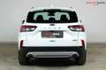 Ford Kuga Titanium Plug-In Hybrid | WENIG KM |3xHeizung Weiß - thumbnail 6