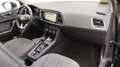 SEAT Ateca 1.5 ecotsi Business 150cv dsg Nero - thumbnail 13