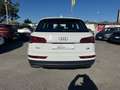 Audi Q5 2.0 tdi Business 190cv s-tronic - thumbnail 4
