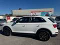 Audi Q5 2.0 tdi Business 190cv s-tronic - thumbnail 6