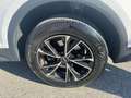 Audi Q5 2.0 tdi Business 190cv s-tronic - thumbnail 16