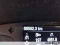 Ford Fiesta 5 Porte 1.0 EcoBoost Titanium Blanc - thumbnail 13