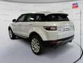 Land Rover Range Rover Evoque 2.0 TD4 180 HSE BVA Mark IV Weiß - thumbnail 8