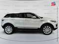 Land Rover Range Rover Evoque 2.0 TD4 180 HSE BVA Mark IV Weiß - thumbnail 4