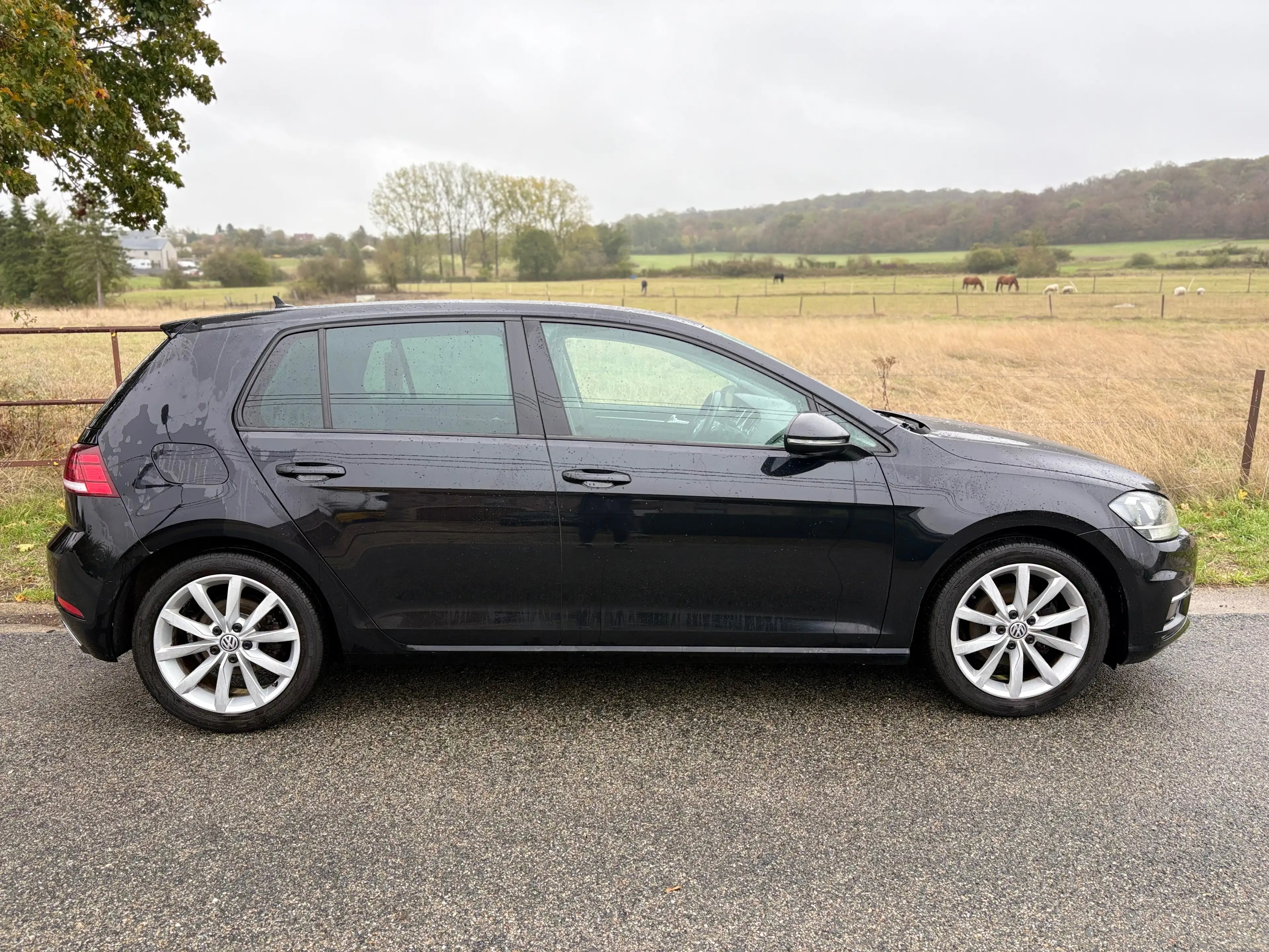 Volkswagen Golf Golf 1.5 TSI EVO Highline DSG — photo 4