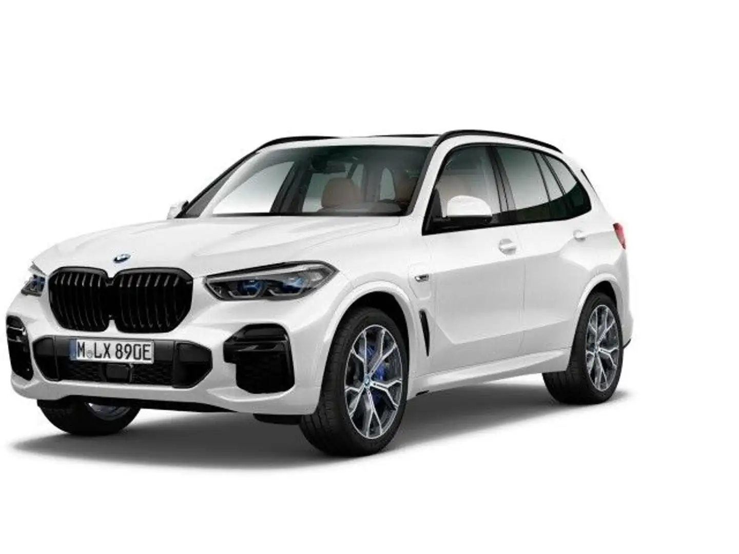 BMW X5 xDrive45e M Sport ACC Head-Up Panorama HiFi Weiß - 1