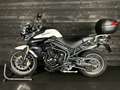 Triumph Tiger 800 LOW RIDE HEIGHT Bianco - thumbnail 8