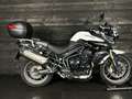 Triumph Tiger 800 LOW RIDE HEIGHT Bianco - thumbnail 1