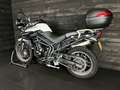 Triumph Tiger 800 LOW RIDE HEIGHT Bianco - thumbnail 9