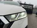 Skoda Octavia Combi 2,0 TDI Ambition DSG | MATRIX/RFK Weiß - thumbnail 35