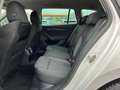 Skoda Octavia Combi 2,0 TDI Ambition DSG | MATRIX/RFK Weiß - thumbnail 14
