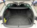 Skoda Octavia Combi 2,0 TDI Ambition DSG | MATRIX/RFK Weiß - thumbnail 15
