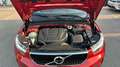 Volvo XC40 1.5 T3 MOMENTUM PRO AUTO 163 5P Rojo - thumbnail 12