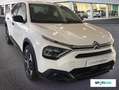 Citroen C4 X 1.2 PureTech Feel S&S 100 Blanco - thumbnail 4