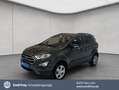 Ford EcoSport ECOSPORT 1.0 EcoBoost TITANIUM *AHK*NAVI*PDC* Gri - thumbnail 1
