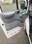 Ford Transit Transit 260 TDCi 260 K TDCi Lkw Basis - thumbnail 4