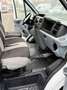 Ford Transit Transit 260 TDCi 260 K TDCi Lkw Basis - thumbnail 11