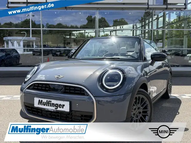 MINI Cooper C Cabrio Favoured Trim Lenkradh. H/K.17"