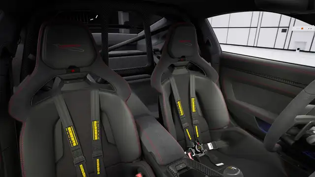 Porsche 911 view 9