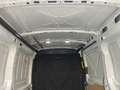 Ford Transit 30 T 100 - H2 Bianco - thumbnail 7