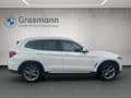 BMW X3 X3 xDrive 20d Weiß - thumbnail 6