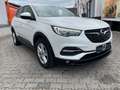 Opel Grandland X 2.HD|APPLE|KAMERA|SHZ|LED|4SEASON Blanc - thumbnail 4
